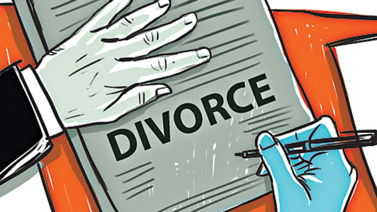 divorce petition by hindu husband on the grounds of cruelty